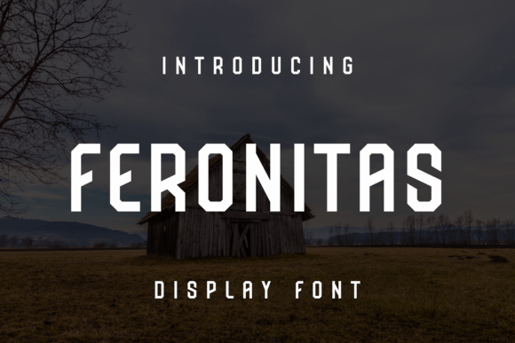 Feronitas: A Unique Display Font for Bold Branding