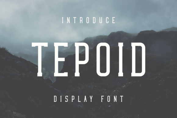 Tepoid: A Unique Display Font for Business Branding